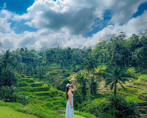 Bali Kintamani & Ubud Full Day Tour 